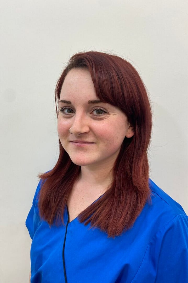 IMG 2640 scaled e1700065933129 uai